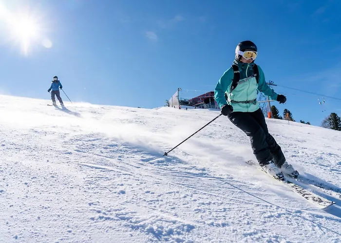 Le Cerf L Ski-out L Standing * Siviez