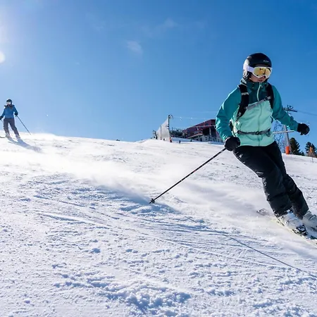 Le Cerf L Ski-out L Standing * Siviez